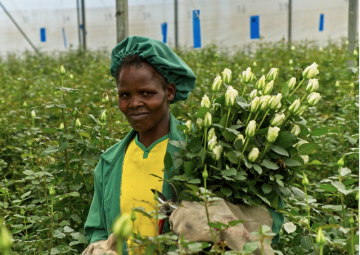 Linah Chepkurui z keňské farmy Longonot při sběru růží (foto: A. Barát)